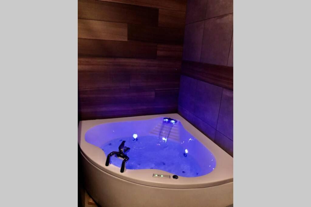 Studio cocooning Spa, lit XXL, cour extérieure Le Puy-en-Velay Esterno foto
